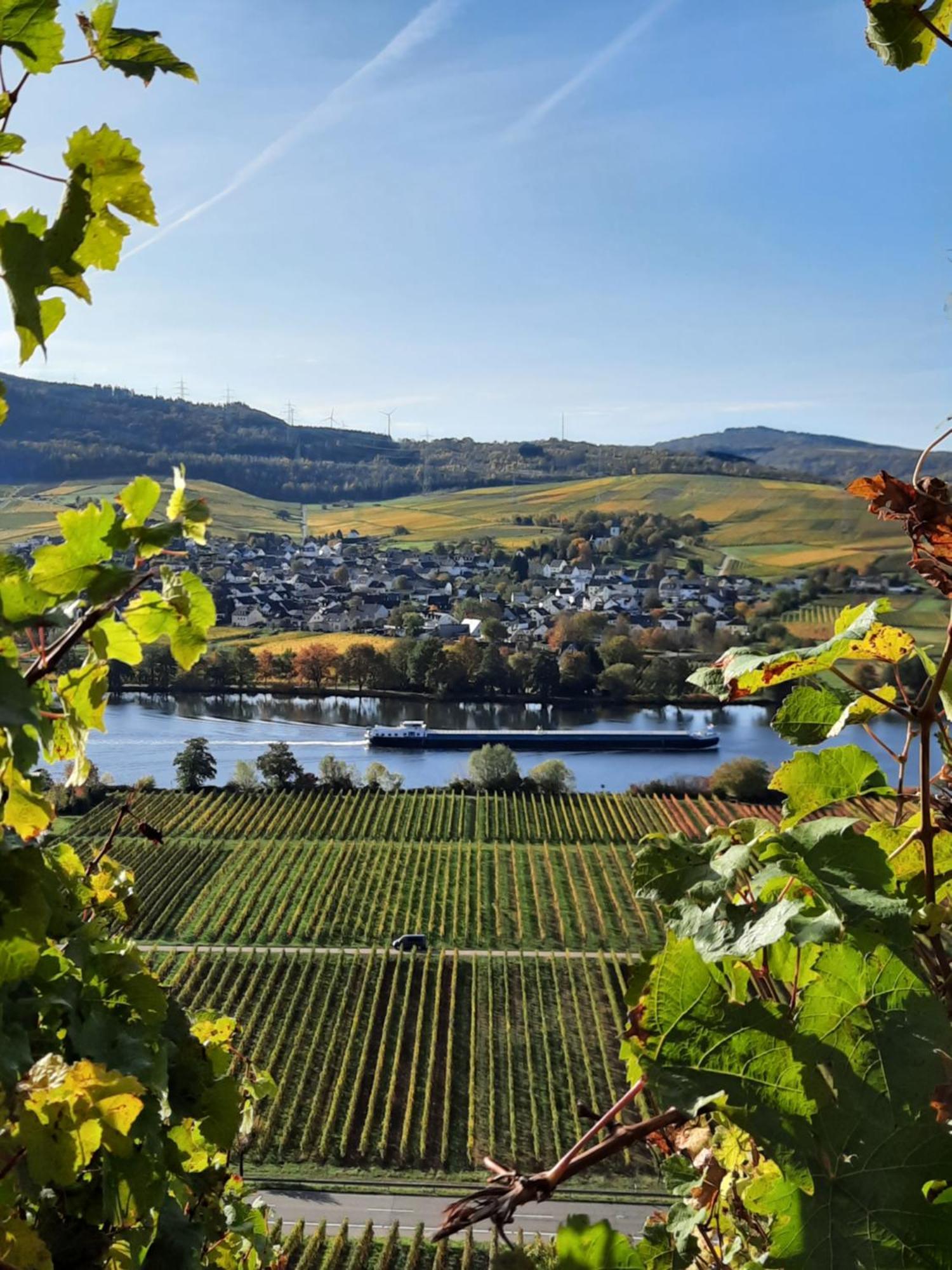 Hotel Weingut Weich Riol Exterior foto